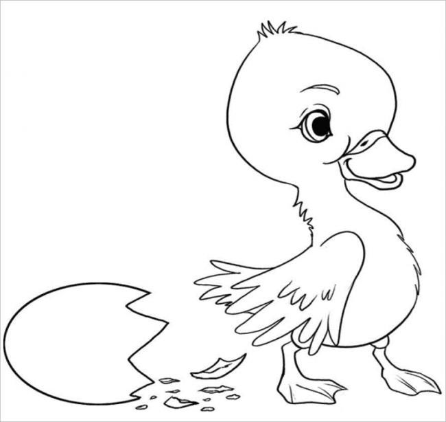 Hướng dẫn cách vẽ CON VỊT  Tô màu con Vịt  How to draw a Duck  YouTube