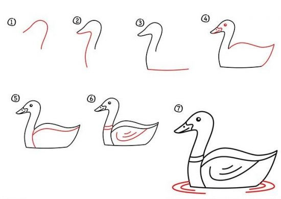 Hướng dẫn cách vẽ con vịt đơn giản với 7 bước ai cũng thực hiện được