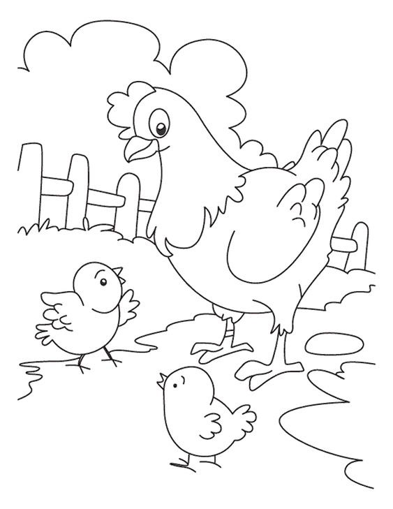 Hình 3: Tranh tô màu con gà
